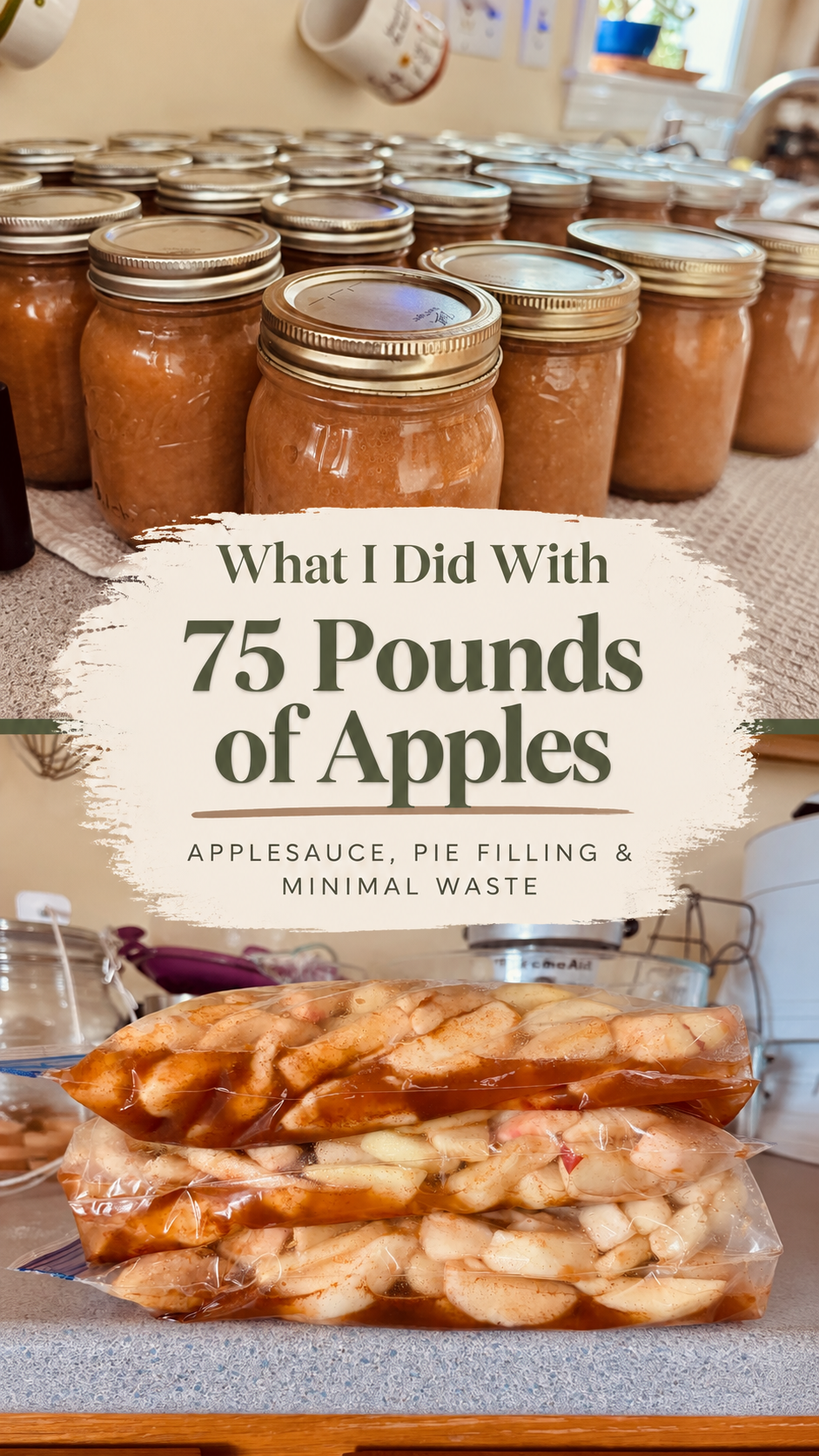 What I Did With 75 Pounds of Apples: 50 Pints of Applesauce + Freezer Apple Pie Filling