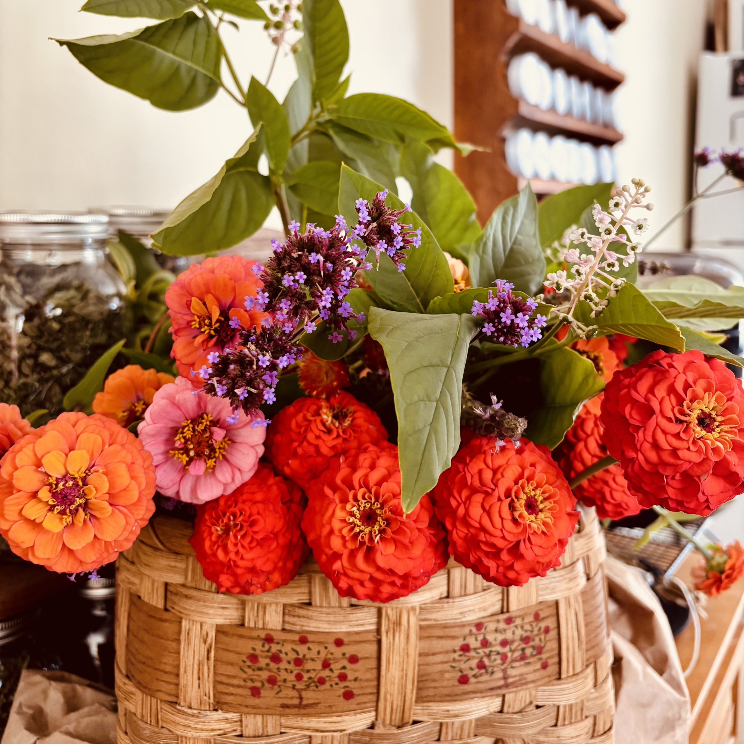 The Unexpected Gift of Growing Flowers