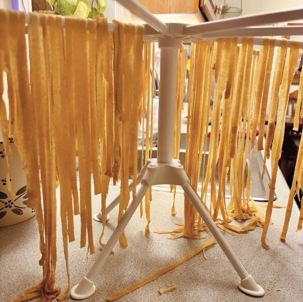 Homemade Pasta from Scratch